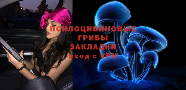 PSILOCYBIN Алексин