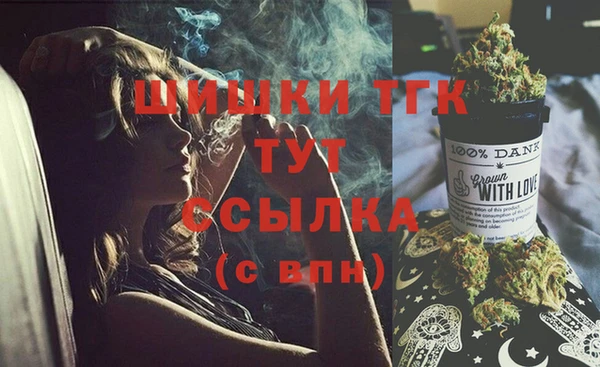 тгк Алзамай