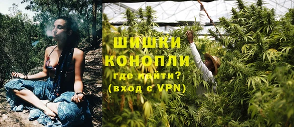 PSILOCYBIN Алексин