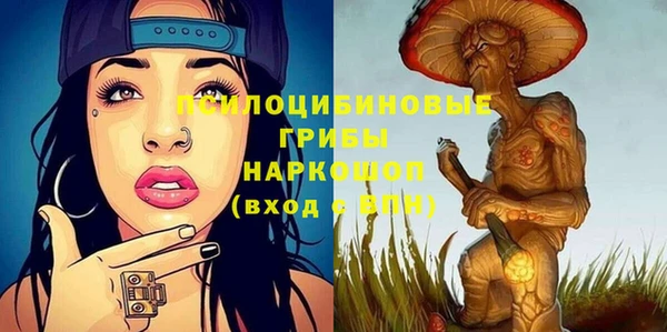 тгк Алзамай