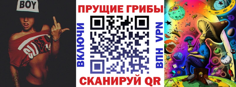 купить наркотики цена  Мирный  Галлюциногенные грибы ЛСД 